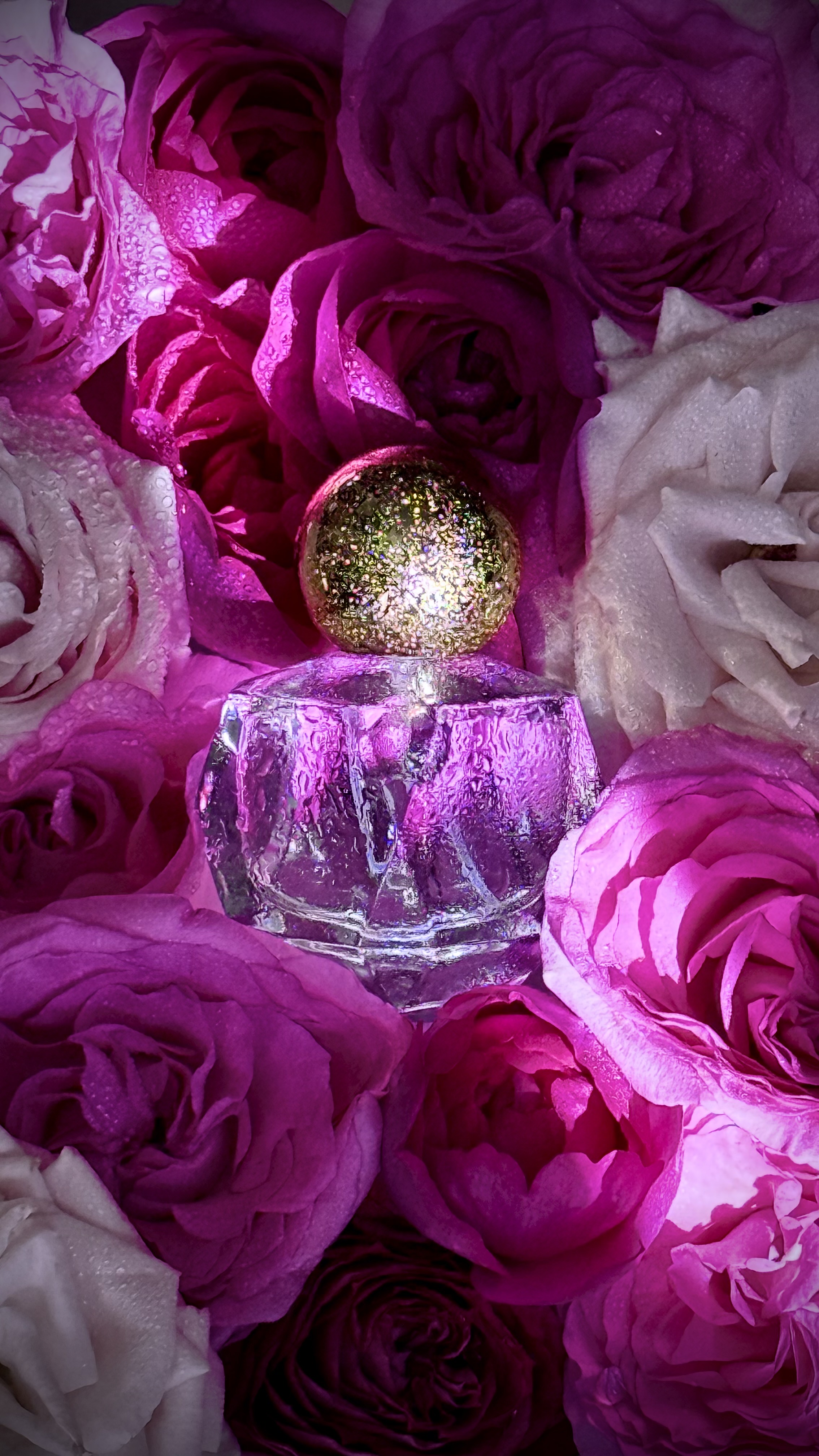 香りビジネス支援のイメージ