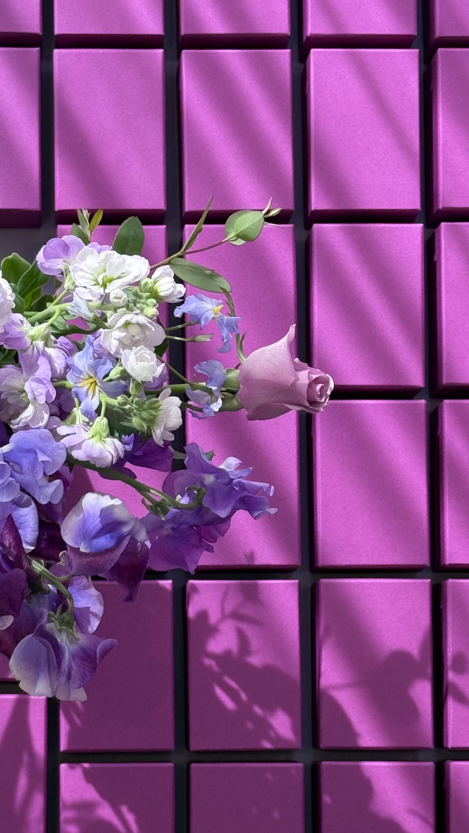 パッケージ事例 5