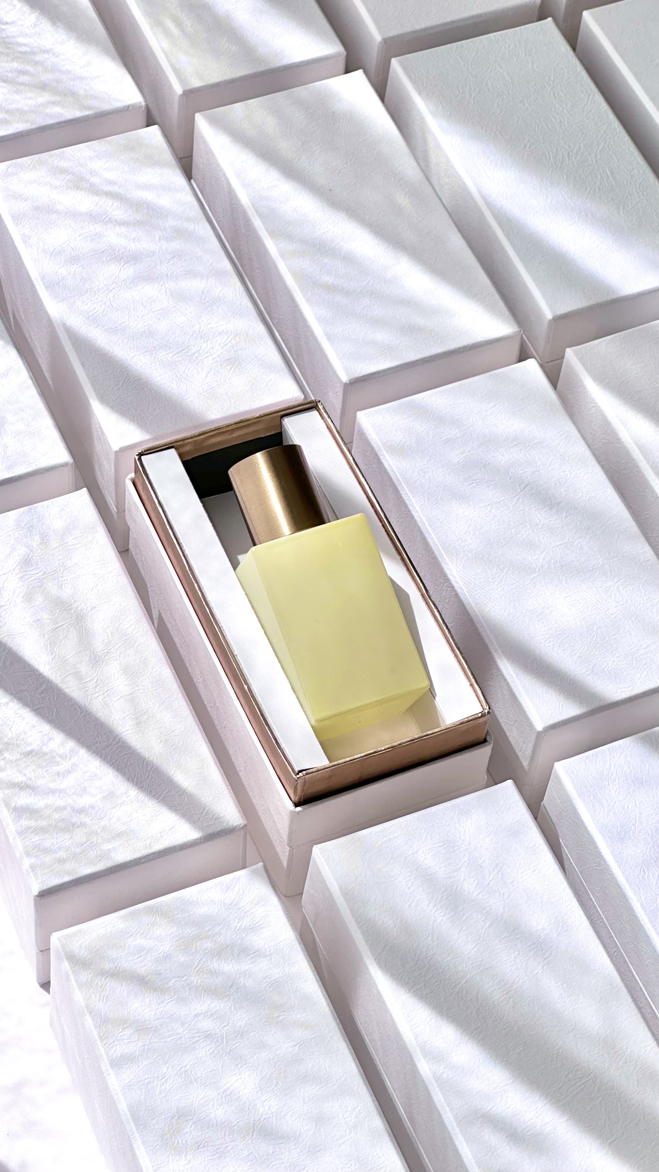 パッケージ事例 19