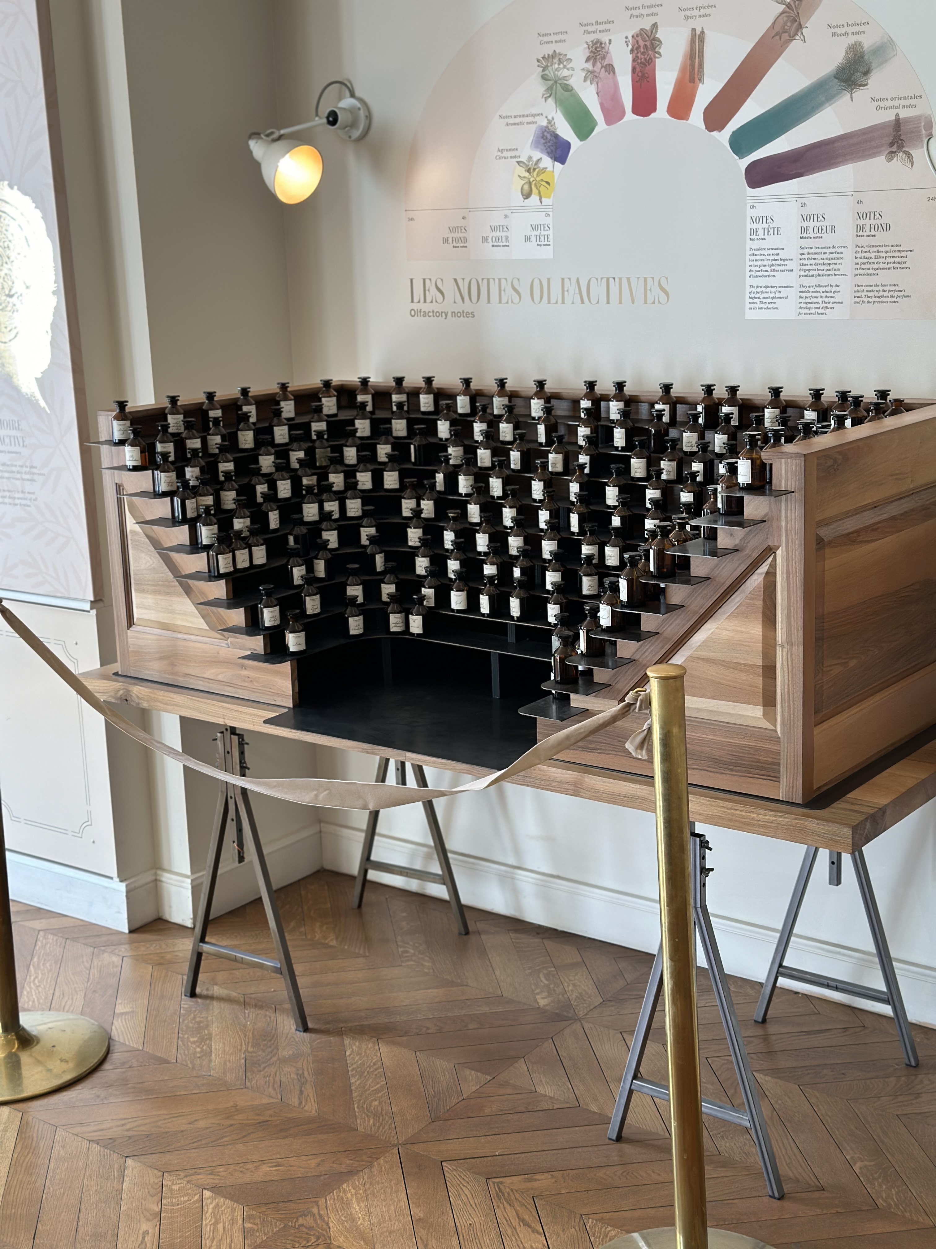 天然香料の素材を並べた写真