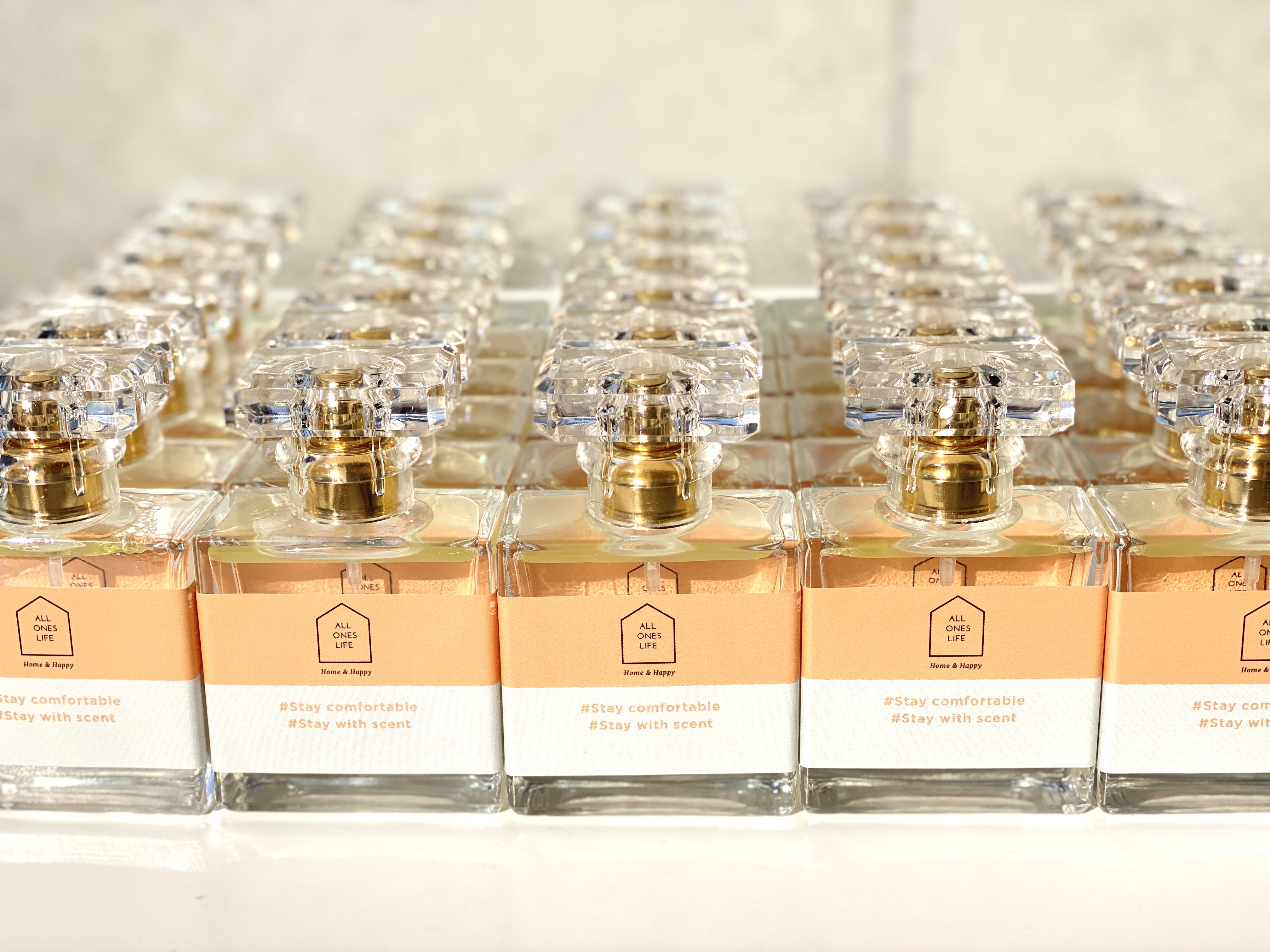 2020年8月の沿革写真