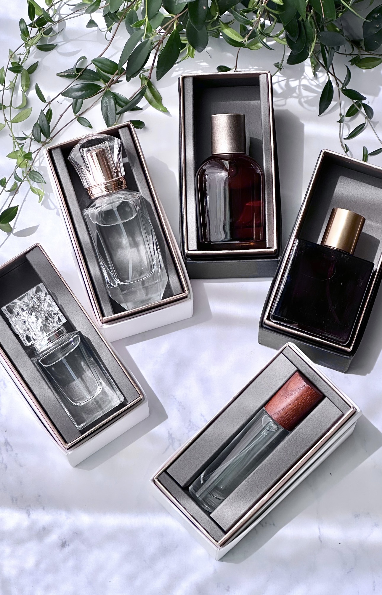 2024年1月の沿革写真