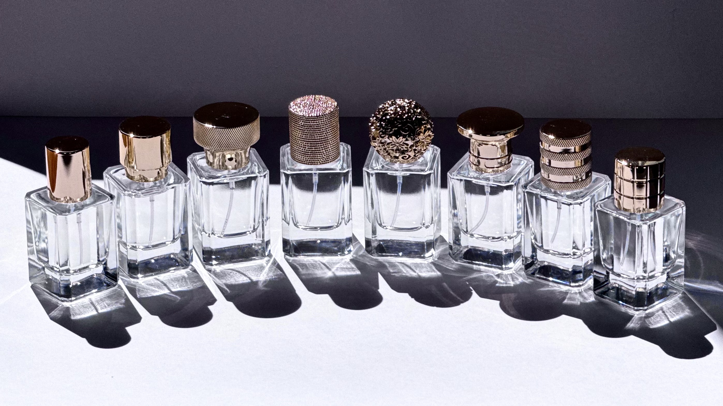 2024年8月の沿革写真