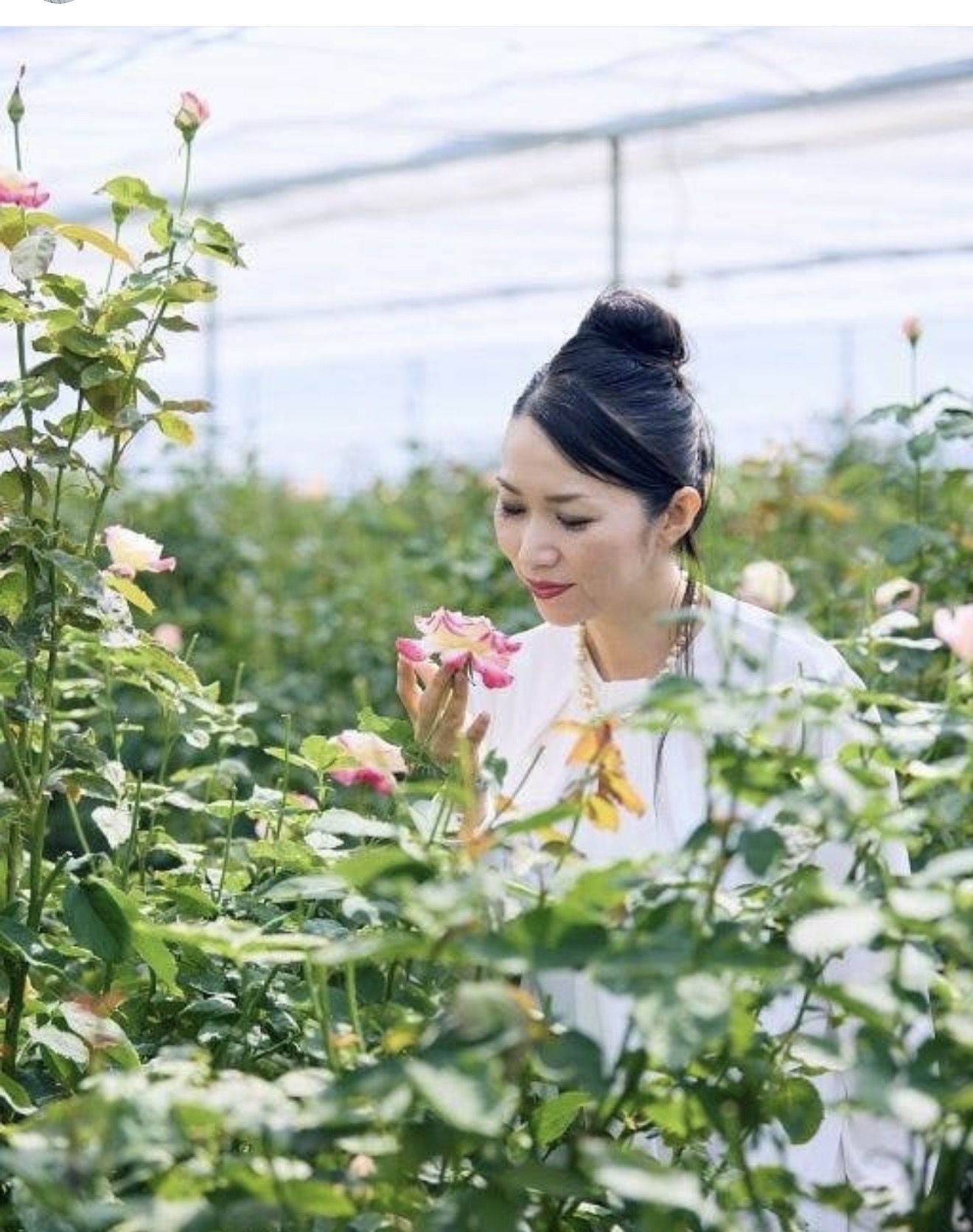 花にそっと顔を寄せて香りを確かめる Natsuki